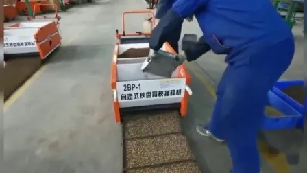 Plastic Seeding Nursery Trays for Rice 