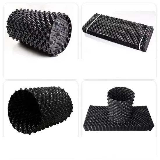 Root Pruning Pot for Fruit Trees: Air Pruning System Promotes Healthy Root Development 