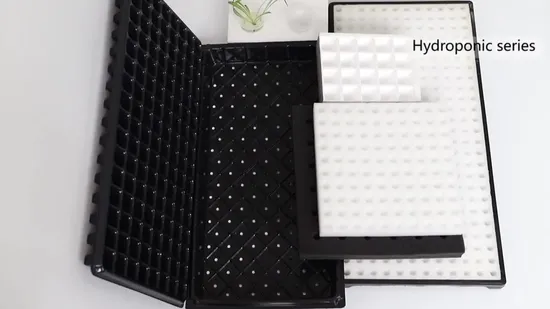 Seed Tray Hydroponicsrice Seedling Trays EPS Seeding Foam Tray 
