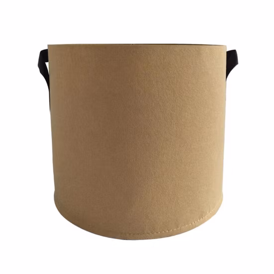 Fabric Grow Bag Durable Decoration Portable Plant Bag with Handles Esg11992 