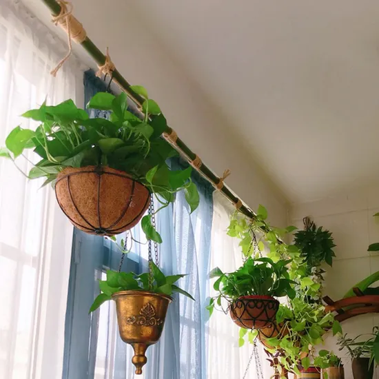 Hot Sales Hanging Planter Basket with Coco Coir 