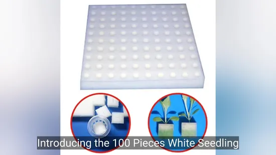 100 Pieces White Seedling Sponge Soilless Hydroponic Vegetables Cultivation Plant Nursery Pots Seedlings Cloning Collar Garden