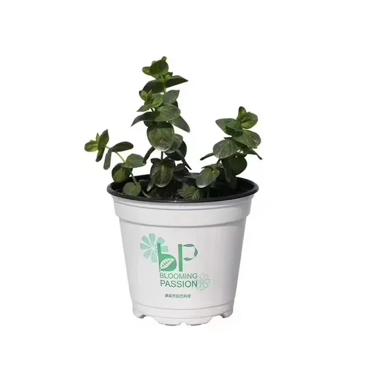 Thermoforming Flower Pots, Round Nursery Pots, Black Plastic Garden Planter 