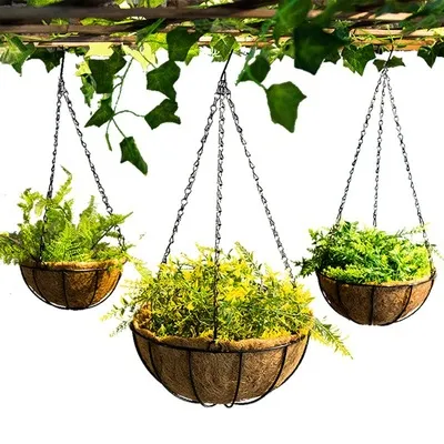 Factory Steel Wire Hanging Basket with Coconut Fibre 