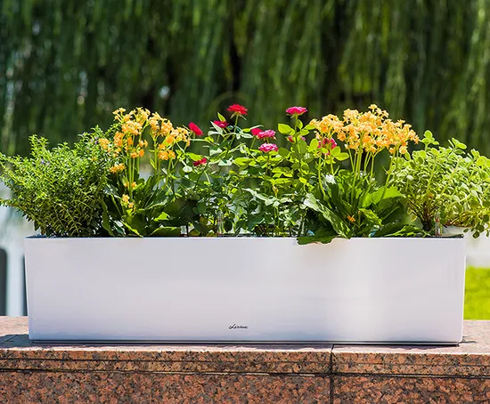 Wholesale White Simple Large Big Size Garden Vegetable Planting Rectangular Self Watering Plastic Resin Flowers Plant Pots 