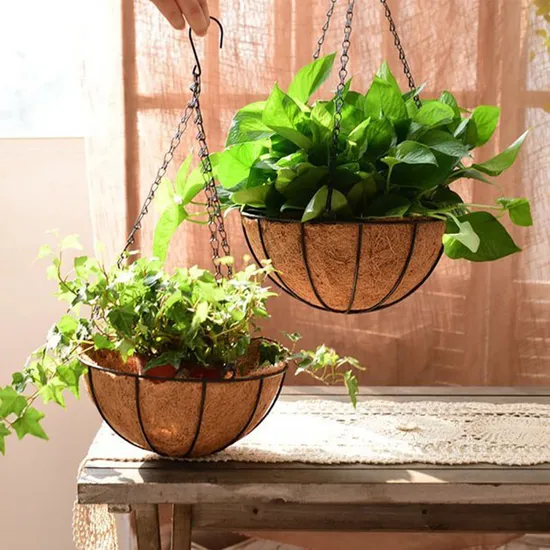 Metal Hanging Planter Basket with Coco Coir 