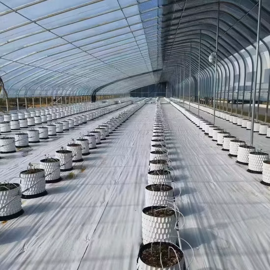 Hydroponic PE/PVC Plastic Air Pruning Pot for Trees Flowers Vegetables Fruits All Plants Stronger Roots Container Pot