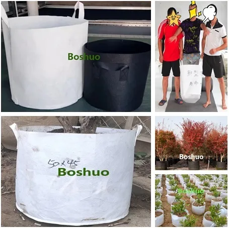 Jumbo Large 50 75 80 100 125 150 200 300 400 500 Gal Gallon Plastic Garden Tree Rooting Drainage Air Pruning Plant Nursery Seedling Planter Pot China Supplier 
