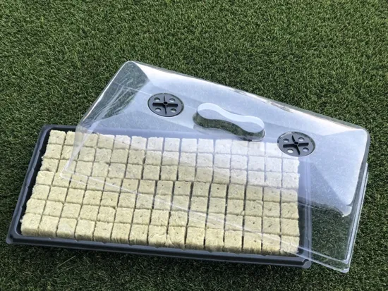 Hydroponic Fodder Polystyrene Nursery Seeding Flat Trays 1020 Tray Seedling Trays 