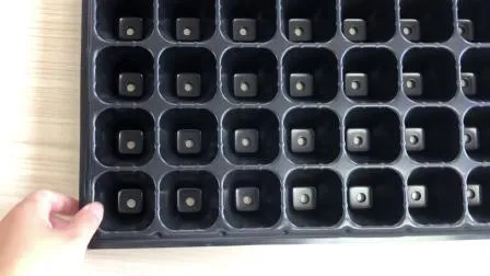 72 Cells Seed Germination Tray PS Plastic Nursery Tray Vegetable Seeding Tray 
