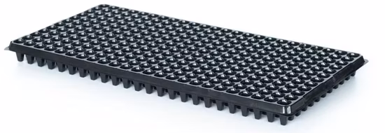 Seeding Tray for Agriculture Greenhouse Seedbed Cucumber Seeding