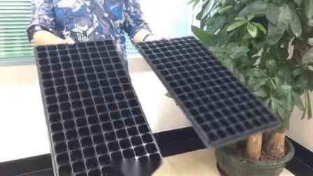 Plastic Seeding Tray and Rice Seedling Nursery Plug Tray for Seed Sarter and Germination in Hydroponic Systems and Soilless Cultivation