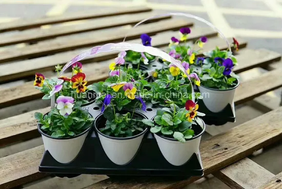 Plastic Thermoforming Flower Pot Garden Planter Printing Nursery Seeding Pot 